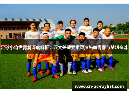 足球小将世青篇深度解析：五大关键要素塑造热血青春与梦想奋斗