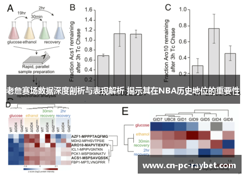 老詹赛场数据深度剖析与表现解析 揭示其在NBA历史地位的重要性